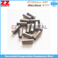 Carbide Tyre Nail